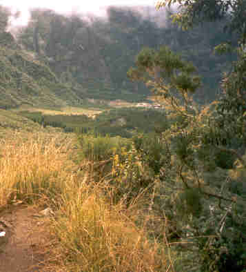 Monte au Piton des Neiges