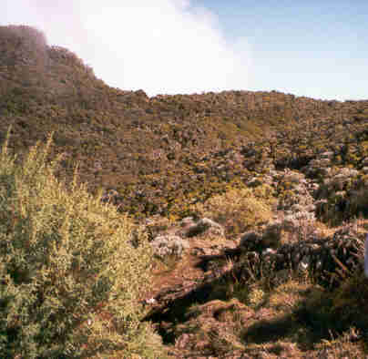 Vers le haut du rempart