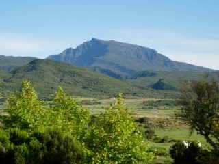 Plaine des Cafres et Piton des Neiges