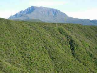 Piton des Neiges