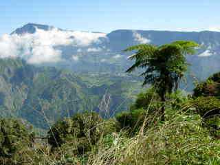 Vue vers Salazie, gte de Blouve