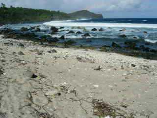 Plage de Grands Bois, vers l'est