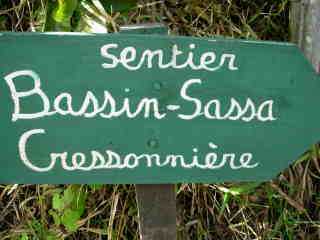 Bassin Sassa