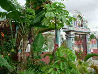 Temple de Petit Bazar