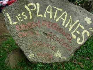 Les Platanes aux Makes