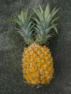 Ananas double