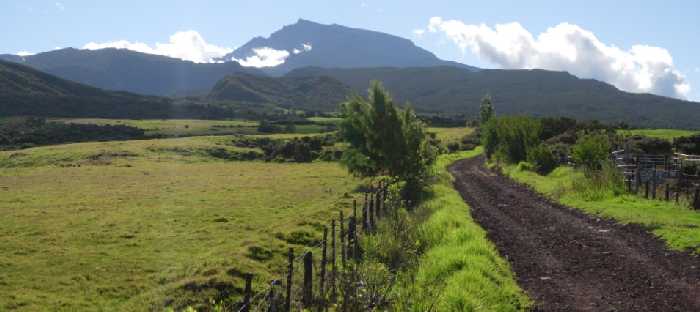 Plaine des Cafres, vers le PIton des Neiges