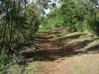 Sentier le long du Bras de la Plaine