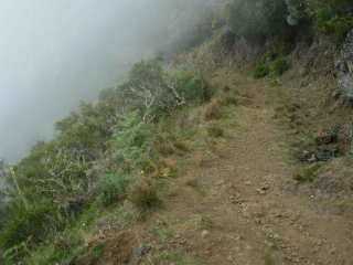 Sentier dans la brume