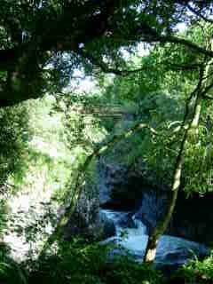 Cascades dans la rivire des Roches