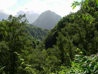 Piton d'Anchaing