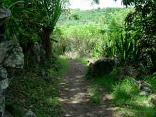 Sentier  flanc de falaise