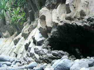 Orgues volcaniques du Bras de la Plaine