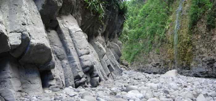 Orgues volcaniques du Bras de la Plaine