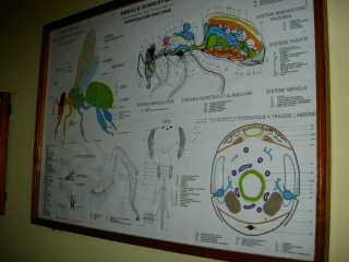 Panneaux explicatifs