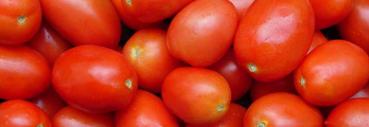 Tomates