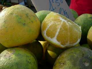 Pomelos
