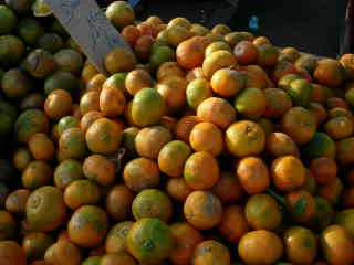 Mandarines Dancy