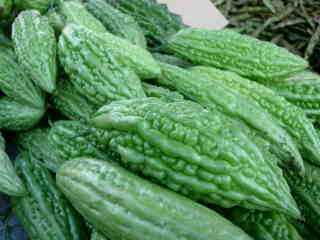 Margozes