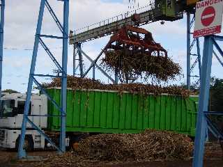 Chargement d'un cachalot  Langevin