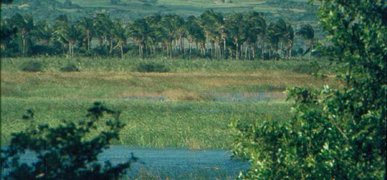 St-Louis, tang du Gol (vers 1970)