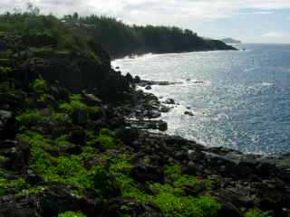 Terre Rouge, bord de mer