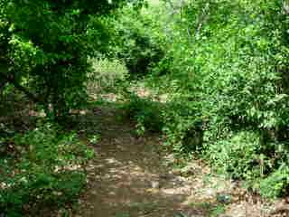 Ancien sentier de Terre Rouge