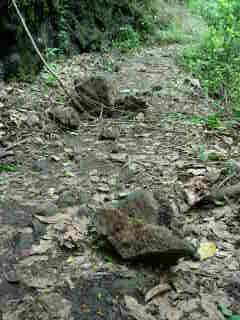 Pierres tombes sur le sentier