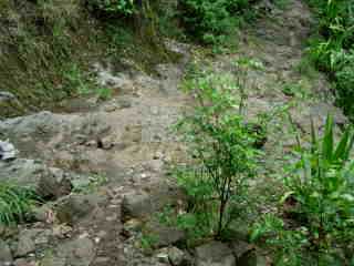 Cascade de la source Raisin