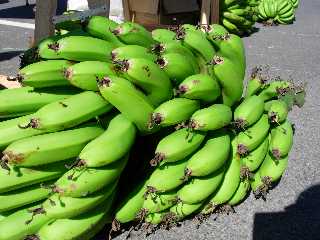 Régime de bananes