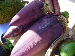 Fleur de bananier - baba fig