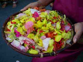 Ptales de fleurs