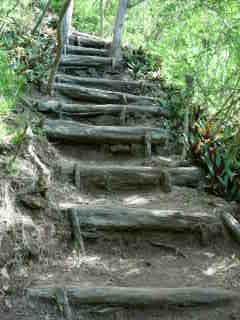 Escaliers - montée au Piton Babet