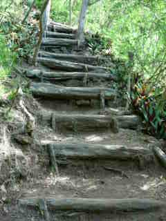 Escaliers - monte au Piton Babet