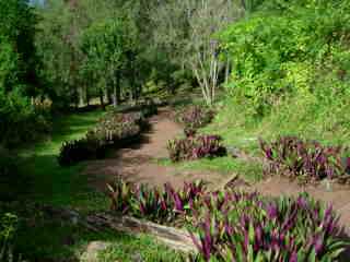 Descente du Piton Babet