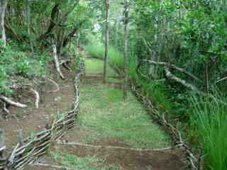 Sentier du Piton de l'Entonnoir