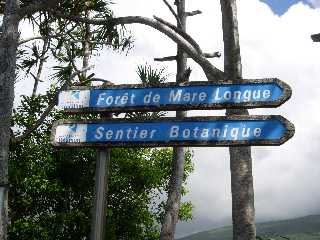 Fort de Mare Longue