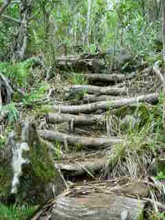 Marches d'escalier