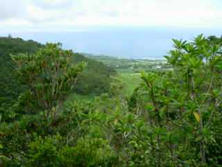 Du haut du Piton de Mont Vert, vers le sud