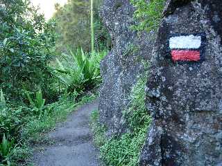 Sentier de la cascade du Bras Rouge