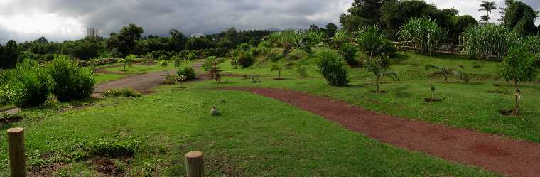 Parcours de sant du Tampon