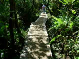 Sentier en planches