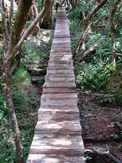 Escalier du Trou de Fer