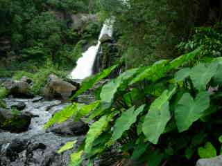 Songes dans la ravire Langevin