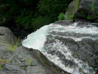 Tte de la cascade Jacqueline