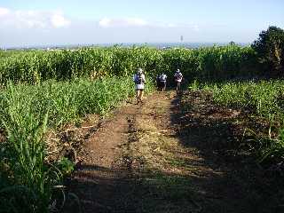 Chemin