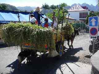 Sandy, le charretier de St-Pierre - Basse-Terre