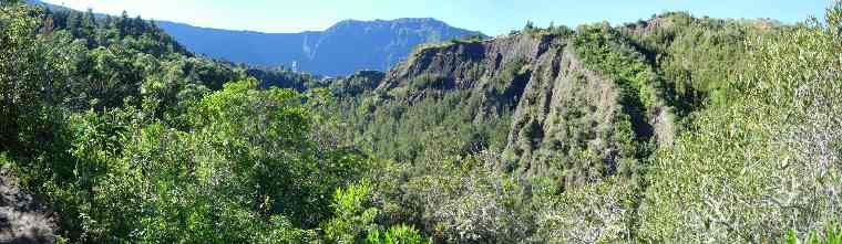 Sentier de la cascade du Bras Rouge