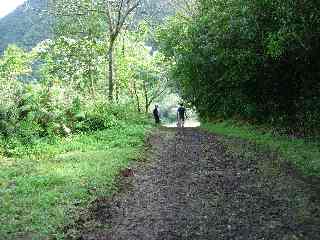 Sentier du tour du Grand Etang