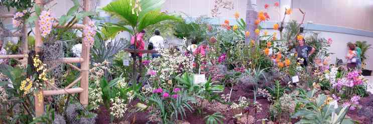 Salon du palmier et de l'orchidée au Tampon